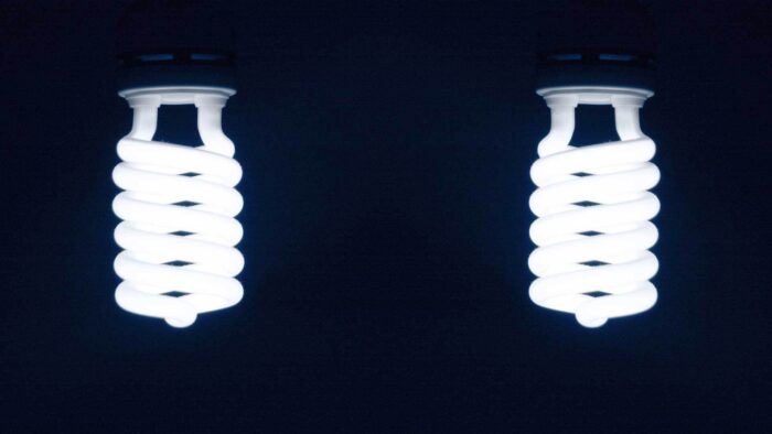 pair of energy saving light bulbs