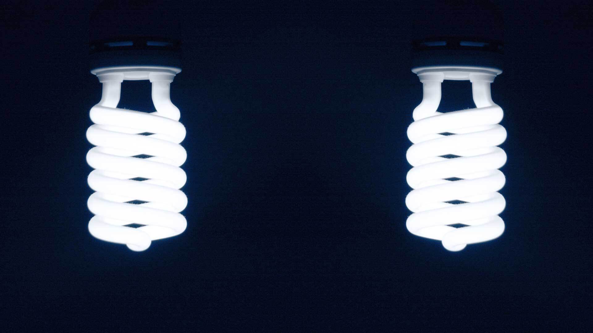 pair of energy saving light bulbs