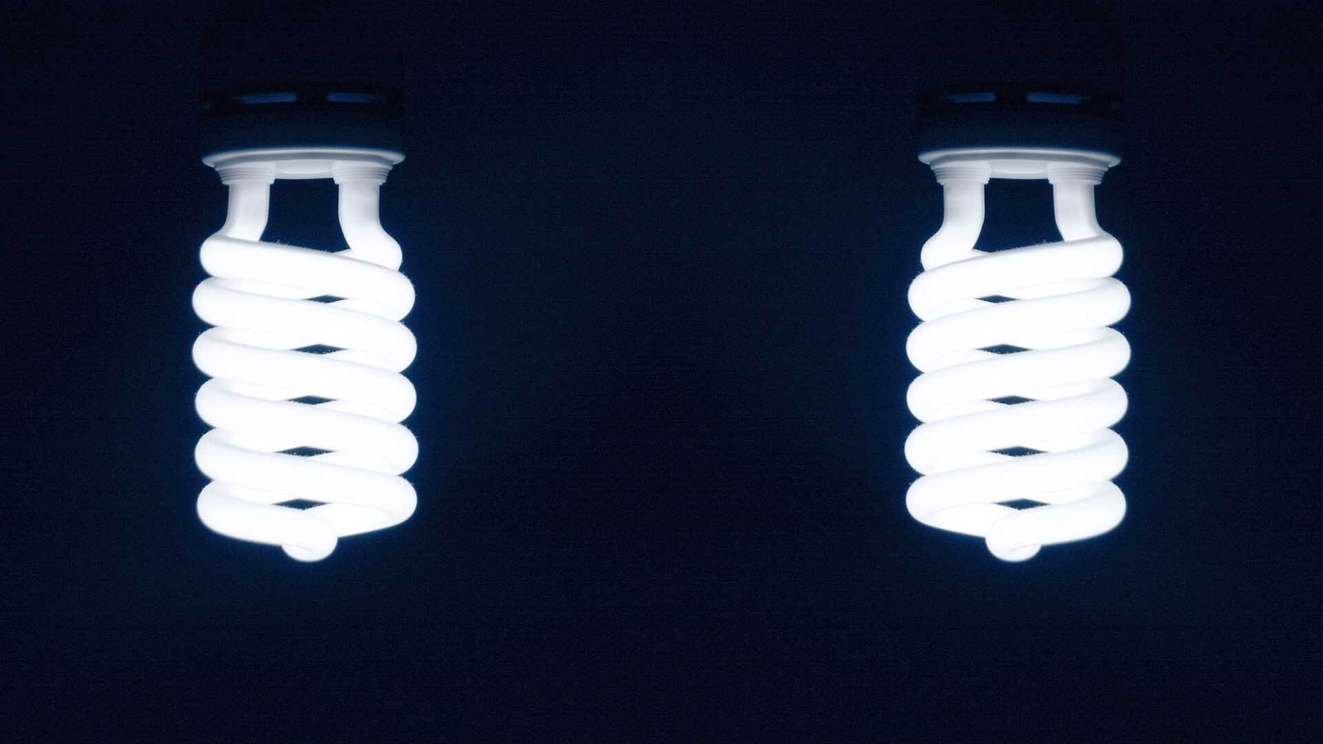 pair of energy saving light bulbs