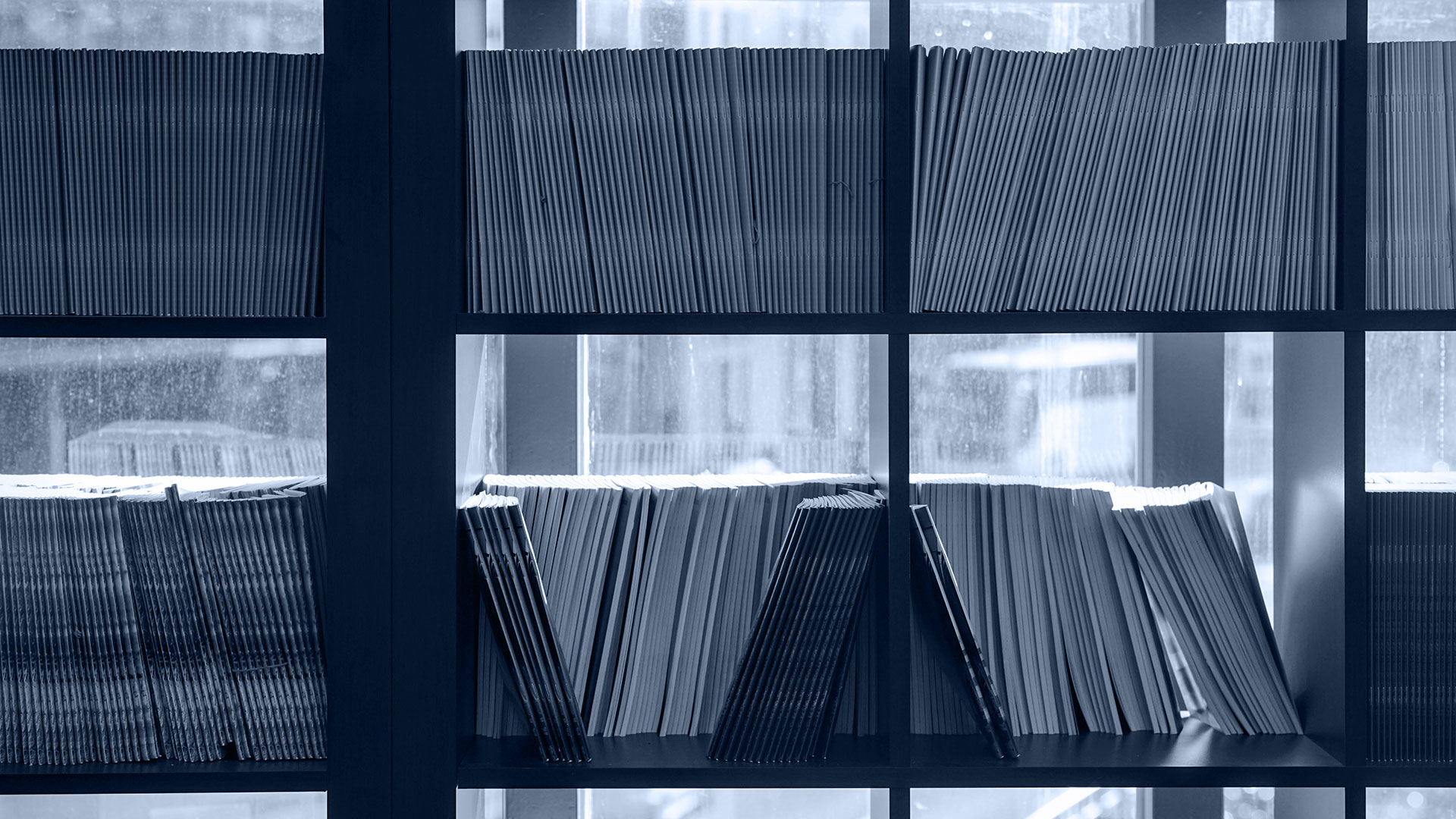 Books and papers lined up on a shelving unit